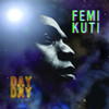 Day By Day, Femi Kuti