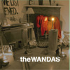 Can't Say Danger On the Radio, The Wandas