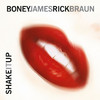 Shake It Up, Boney James