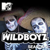 play video on iTunes