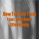 How To Potty Train Your Dog More Effectively
