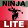 Icon Ninja Shadow Lite