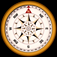 Compass Pro