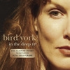 In the Deep - EP, Bird York