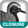 Closure: The Definitive Guide