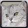 Icon Cats