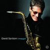Timeagain, David Sanborn