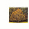 It Takes a Year, William Ackerman