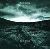 Dark Wood, David Darling