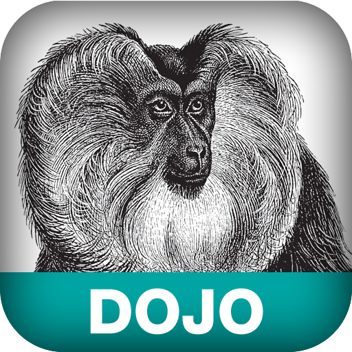 Dojo: The Definitive Guide