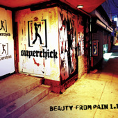 Beauty from Pain 1.1, Superchick