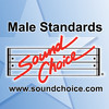 Karaoke - Male Standards - Vol.3