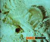 Dig for Fire - EP, Pixies