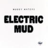 Electric Mud, Muddy Waters