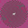 Cryptograms, Deerhunter