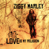 Love Is My Religion, Ziggy Marley
