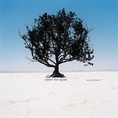 We Are Pilots, Shiny Toy Guns