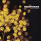 Phantogram image