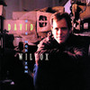 Big Horizon, David Wilcox