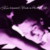 Back In the High Life, Steve Winwood