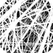 Thicket