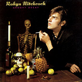 Groovy Decay, Robyn Hitchcock