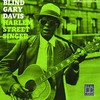 Harlem Street Singer (Remastered), Rev. Gary Davis