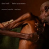 Darfur Pogrommen, David Toub