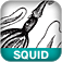 Squid: The Definitive Guide