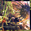 Possible Planet, Steve Roach