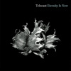 Eternity Is Now, Telecast