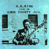 Live in Cook County Jail, B.B. King