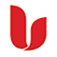 Union Bank Mobile Banking