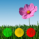 Icon Pollenflug Info GPS