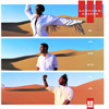 Zagora, Loose Ends
