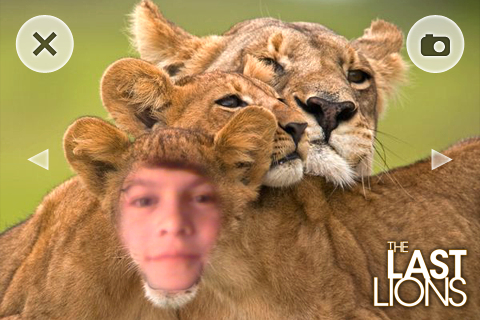 The Last Lions free app screenshot 3