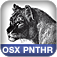 Essential Mac OS X Panther Server Administration