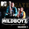 play video on iTunes