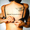 Young Lust: The Aerosmith Anthology