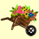 Flowers & Plants