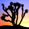 American Landscape; A Visual Journey