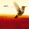 Keep It Together, Guster