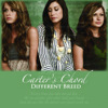 Different Breed - Single, Carter's Chord