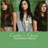 Different Breed - Single, Carter's Chord