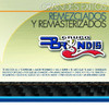 Grandes Éxitos Remezclados y Masterizados, Grupo Bryndis