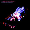 Sugar Coated Lies - EP, Christopher D. Ashley