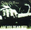 Are You Dead Yet?, Children of Bodom