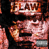 Through the Eyes, Flaw