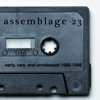 Early, Rare, & Unreleased (1988-1998), Assemblage 23