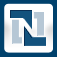 Icon NetSuite
